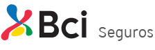 soapcamion-bci-logo